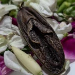 Batu Mustika Alam