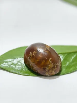 Mustika Damar Wulan