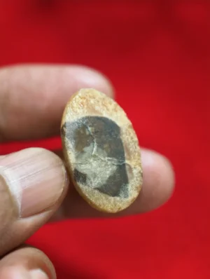 Batu Mustika Pramesti Asli Syekh Batu Mustika Pramesti