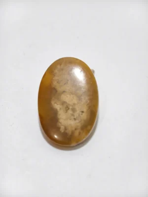 Mustika Jagat Nata