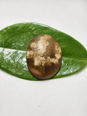 Mustika Musang asli sepuh Mustika Musang
